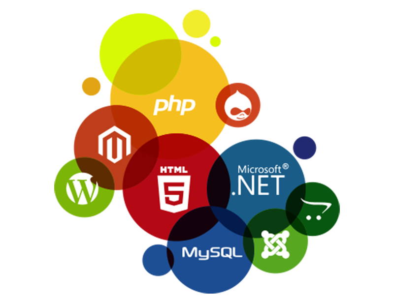 blog-image